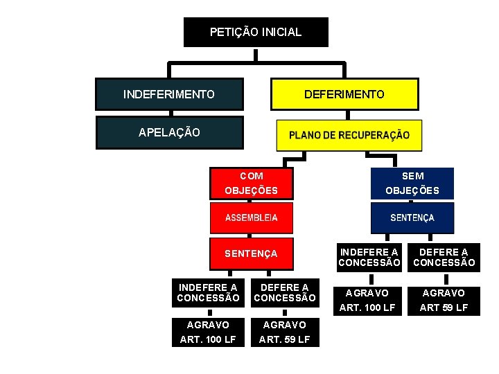 PETIÇÃO INICIAL INDEFERIMENTO APELAÇÃO COM SEM OBJEÇÕES ASSEMBLEIA SENTENÇA INDEFERE A CONCESSÃO AGRAVO ART.