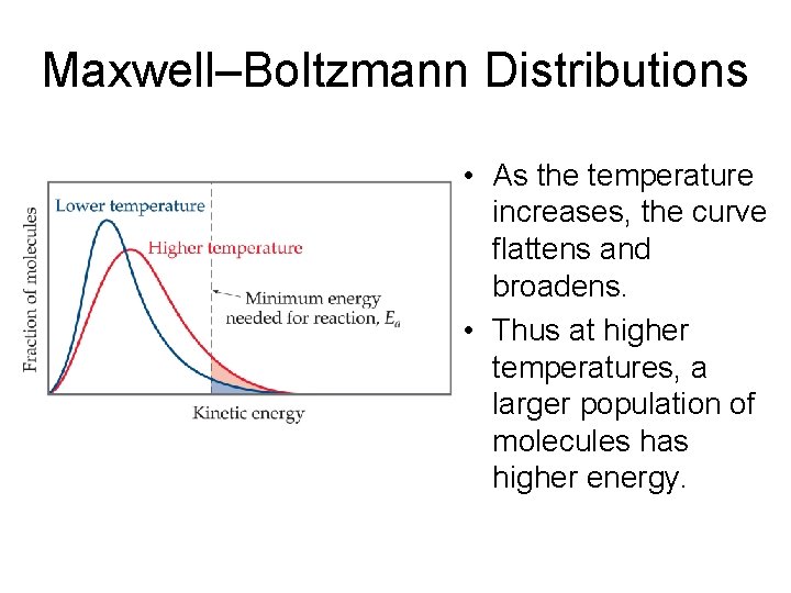 Maxwell–Boltzmann Distributions • As the temperature increases, the curve flattens and broadens. • Thus