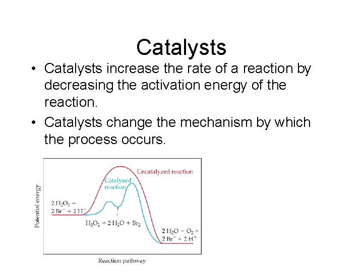 Catalysts • Catalysts increase the rate of a reaction by decreasing the activation energy