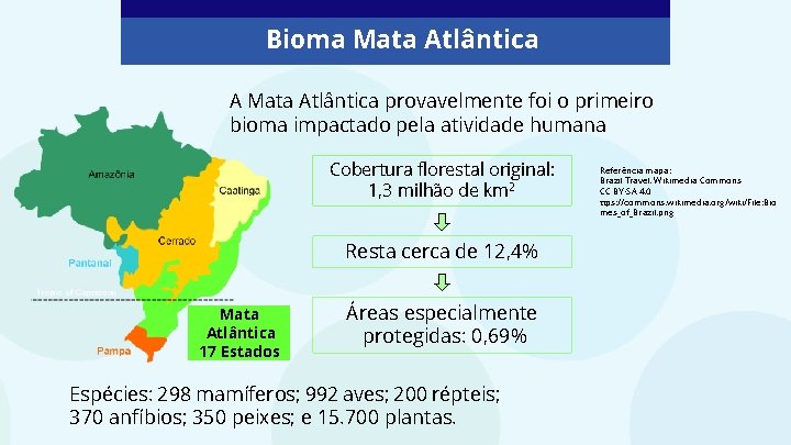 Bioma Mata Atlântica A Mata Atlântica provavelmente foi o primeiro bioma impactado pela atividade