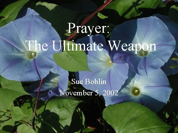 Prayer: The Ultimate Weapon Sue Bohlin November 5, 2002 