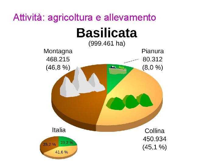 Attività: agricoltura e allevamento 