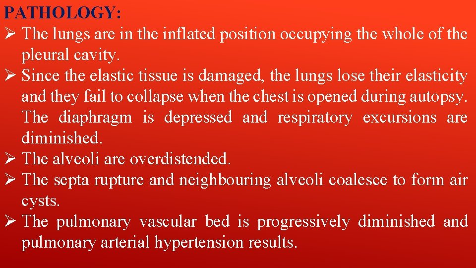 PATHOLOGY: Ø The lungs are in the inflated position occupying the whole of the PATHOLOGY: Ø The lungs are in the inflated position occupying the whole of the