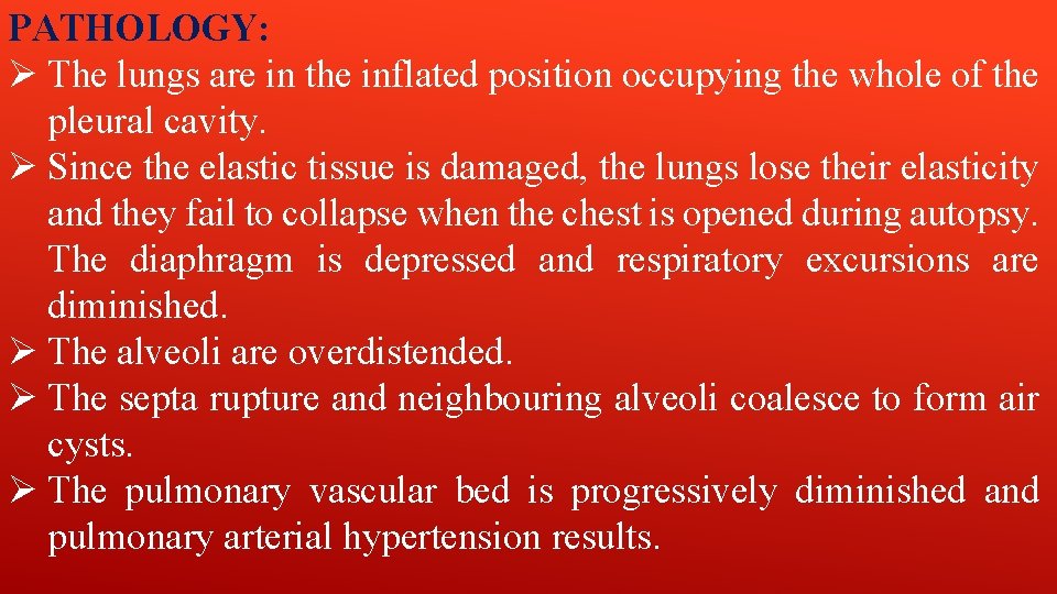 PATHOLOGY: Ø The lungs are in the inflated position occupying the whole of the