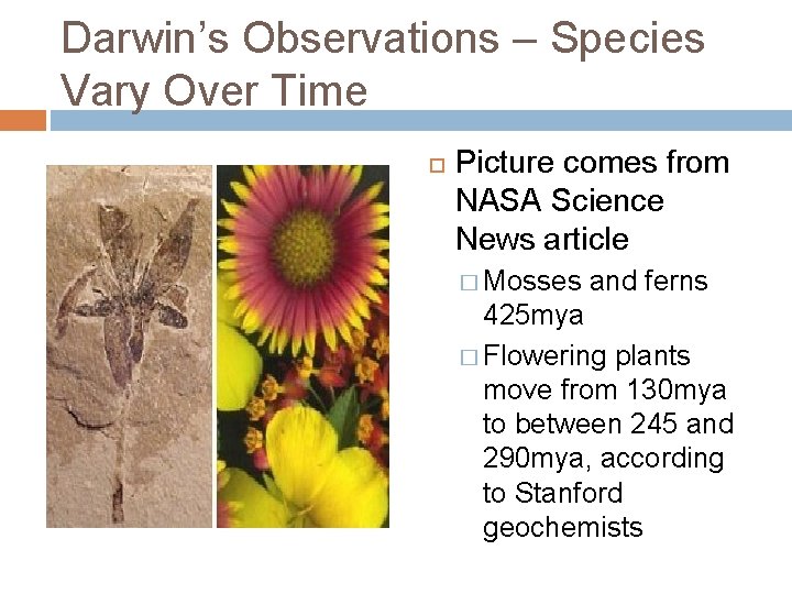 Darwin’s Observations – Species Vary Over Time Picture comes from NASA Science News article