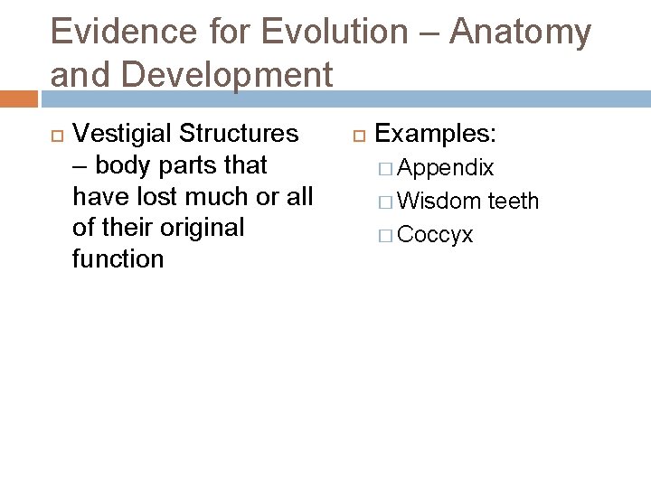 Evidence for Evolution – Anatomy and Development Vestigial Structures – body parts that have