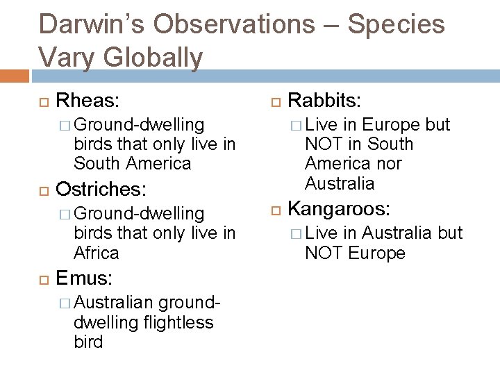 Darwin’s Observations – Species Vary Globally Rheas: � Ground-dwelling � Live in Europe but