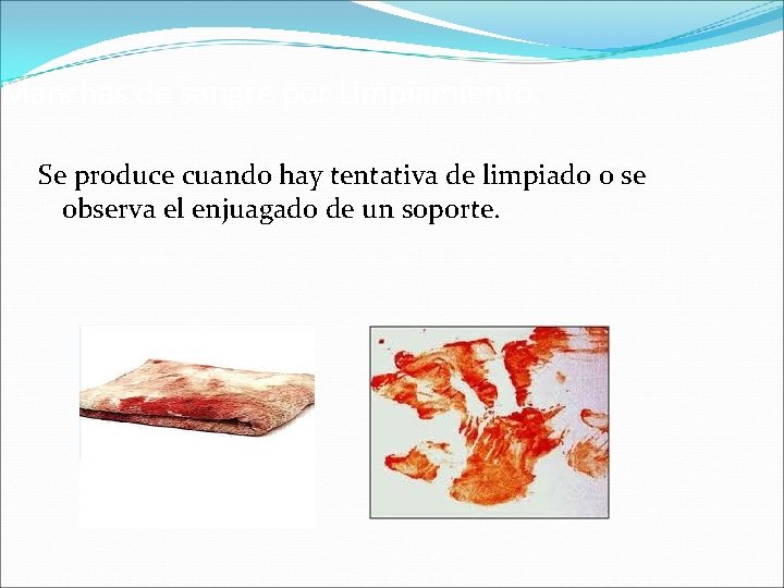 Manchas de sangre por Limpiamiento: Se produce cuando hay tentativa de limpiado o se Manchas de sangre por Limpiamiento: Se produce cuando hay tentativa de limpiado o se