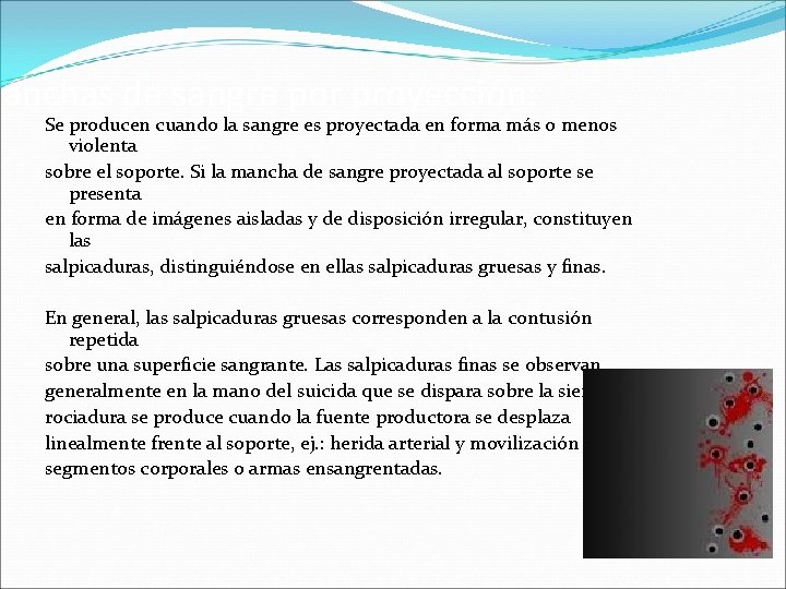 Manchas de sangre por proyección: Se producen cuando la sangre es proyectada en forma Manchas de sangre por proyección: Se producen cuando la sangre es proyectada en forma