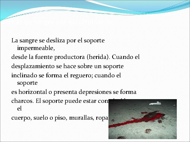 Manchas de sangre por escurrimiento: La sangre se desliza por el soporte impermeable, desde Manchas de sangre por escurrimiento: La sangre se desliza por el soporte impermeable, desde