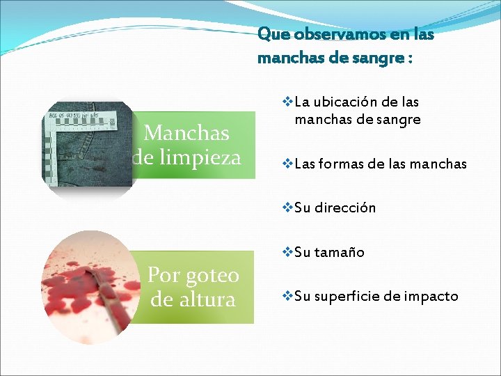 Que observamos en las manchas de sangre : v La ubicación de las Manchas Que observamos en las manchas de sangre : v La ubicación de las Manchas