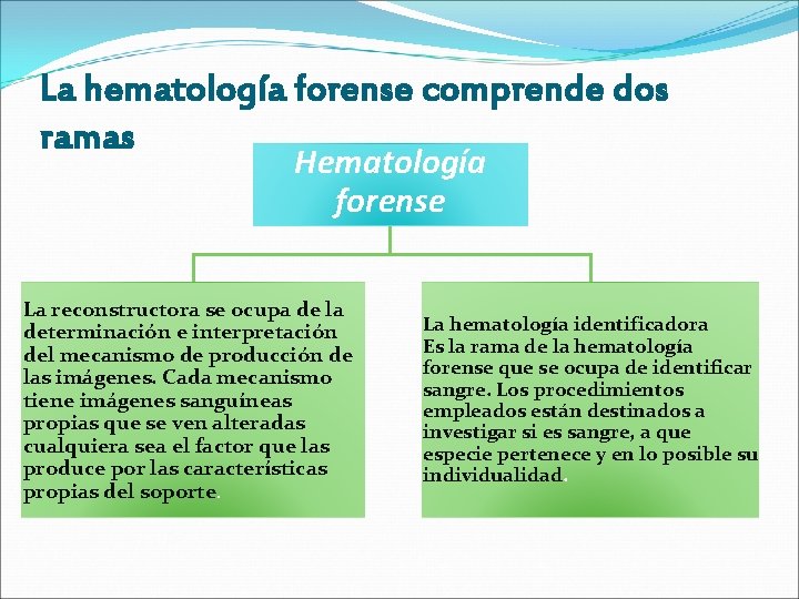 La hematología forense comprende dos ramas Hematología forense La reconstructora se ocupa de la La hematología forense comprende dos ramas Hematología forense La reconstructora se ocupa de la