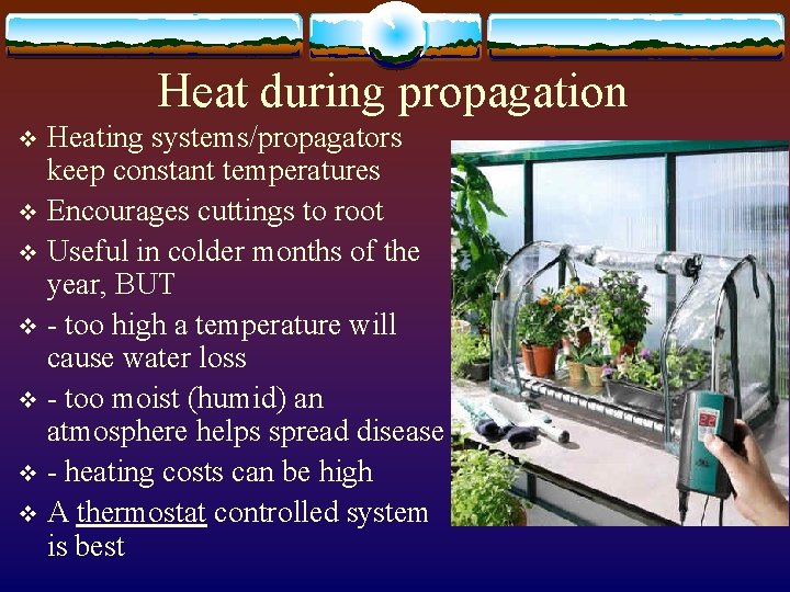 Heat during propagation Heating systems/propagators keep constant temperatures v Encourages cuttings to root v