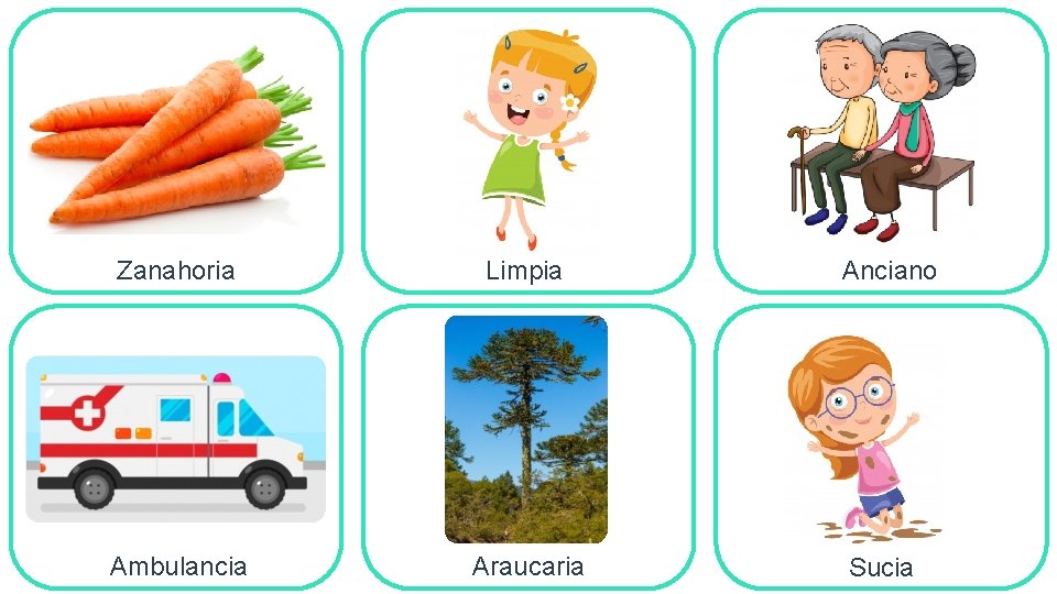 Zanahoria Limpia Ambulancia Araucaria Anciano Sucia 