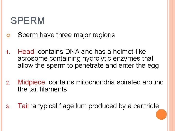 SPERM Sperm have three major regions 1. Head : contains DNA and has a