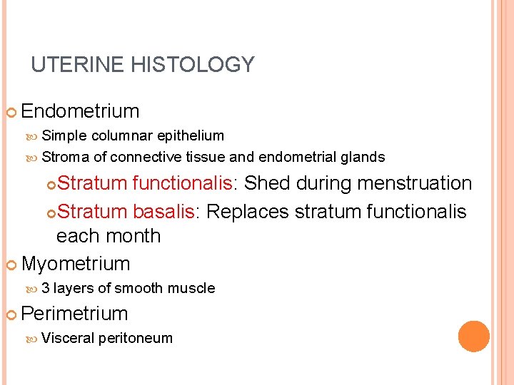 UTERINE HISTOLOGY Endometrium Simple columnar epithelium Stroma of connective tissue and endometrial glands Stratum