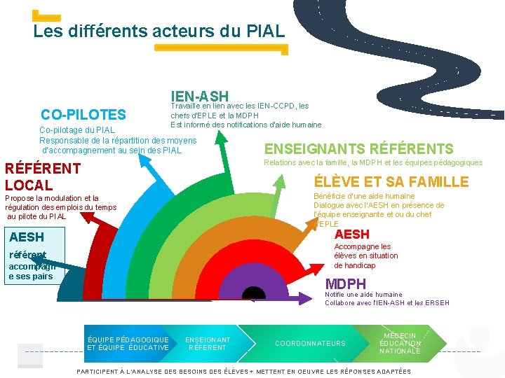 Les différents acteurs du PIAL IEN-ASH CO-PILOTES Travaille en lien avec les IEN-CCPD, les