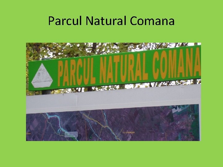Parcul Natural Comana Parcul Natural Comana