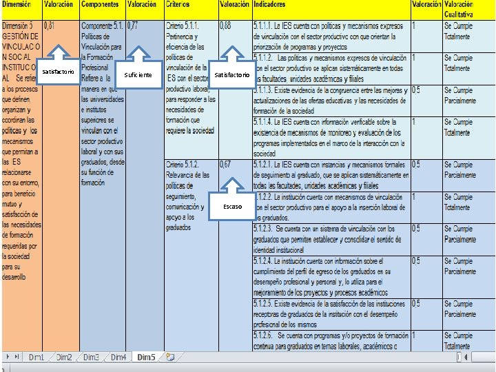 Satisfactorio Suficiente Satisfactorio Escaso 