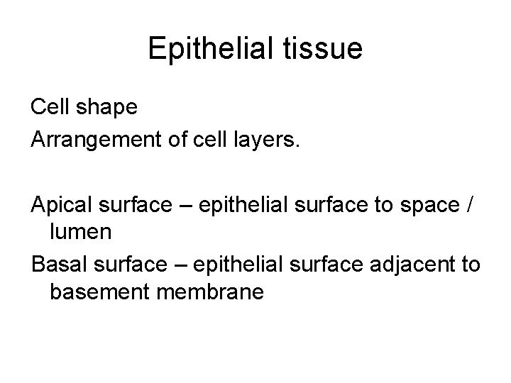 Epithelial tissue Cell shape Arrangement of cell layers. Apical surface – epithelial surface to