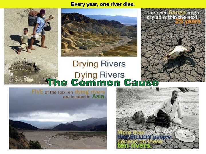 Every year, one river dies. 