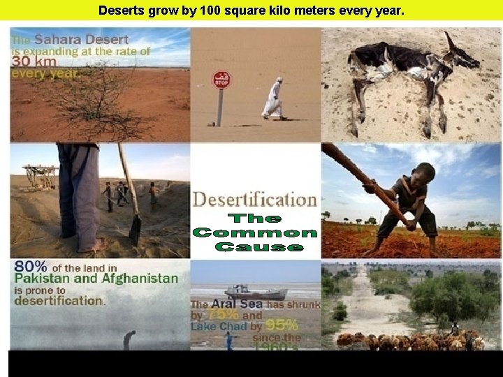 Deserts grow by 100 square kilo meters every year. 