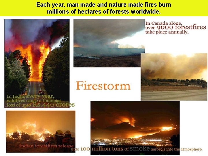 Each year, man made and nature made fires burn millions of hectares of forests