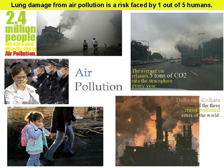 Lung damage from air pollution is a risk faced by 1 out of 5