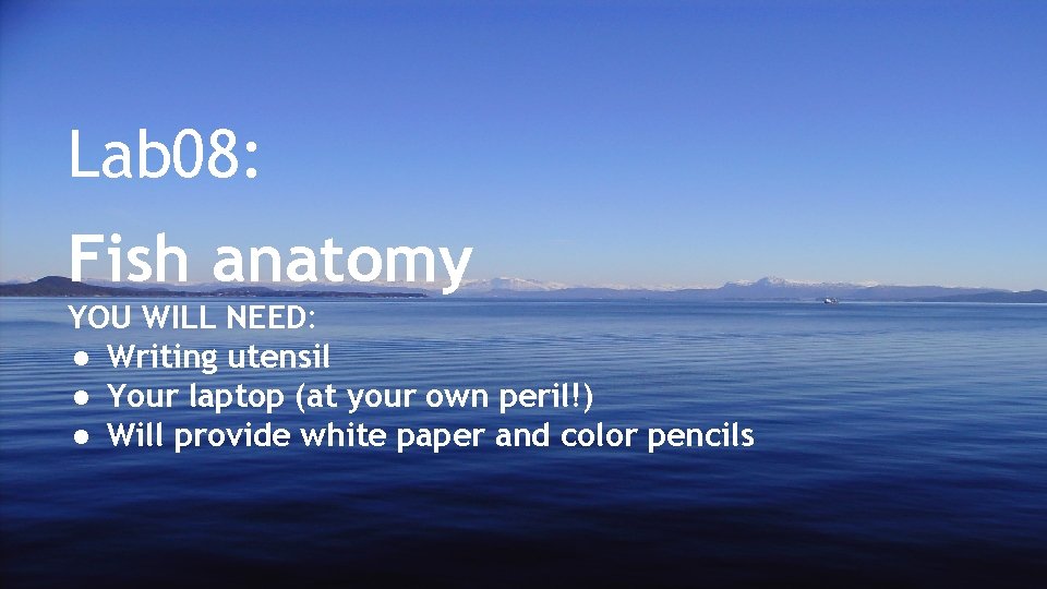 Lab 08: Fish anatomy YOU WILL NEED: ● Writing utensil ● Your laptop (at
