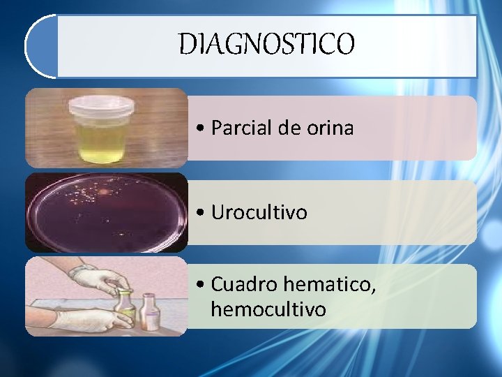DIAGNOSTICO • Parcial de orina • Urocultivo • Cuadro hematico, hemocultivo 