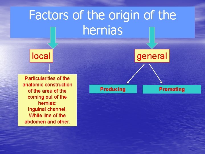 Factors of the origin of the hernias local Particularities of the anatomic construction of