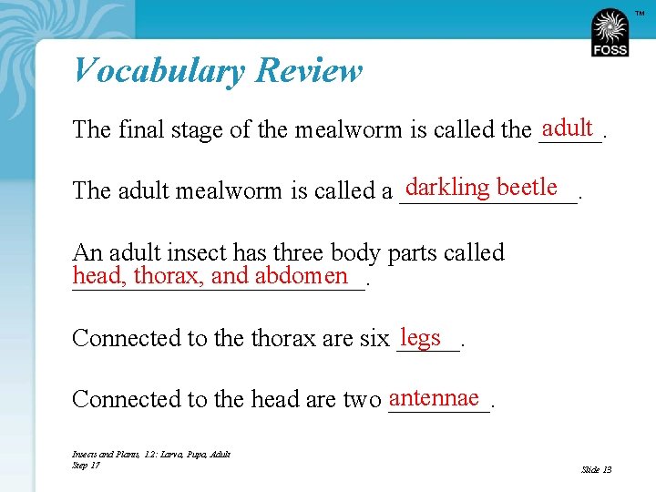 TM Vocabulary Review adult The final stage of the mealworm is called the _____.