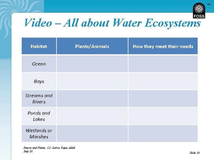 TM Video – All about Water Ecosystems Habitat Plants/Animals How they meet their needs