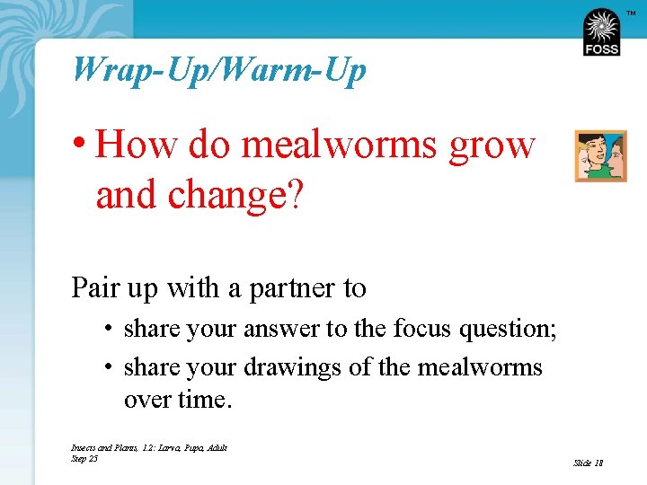 TM Wrap-Up/Warm-Up • How do mealworms grow and change? Pair up with a partner