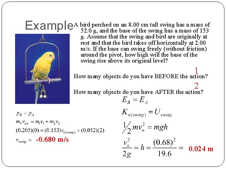 perched on an 8. 00 cm tall swing has a mass of Example. A