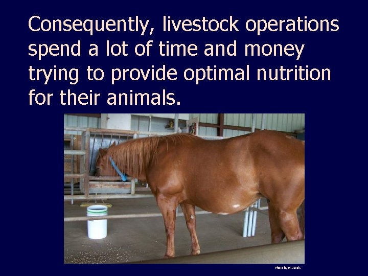 Consequently, livestock operations spend a lot of time and money trying to provide optimal