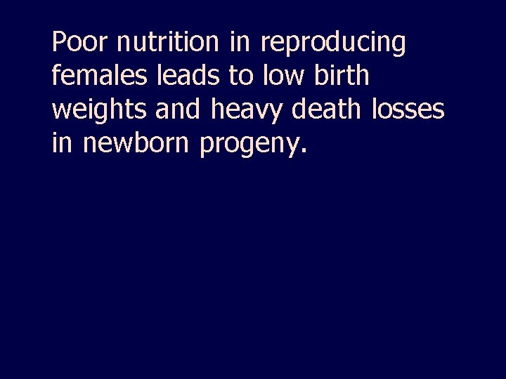Poor nutrition in reproducing females leads to low birth weights and heavy death losses