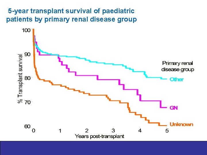 5 -year transplant survival of paediatric patients by primary renal disease group 