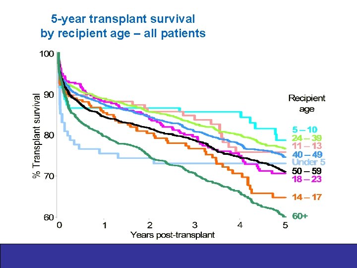 5 -year transplant survival by recipient age – all patients 