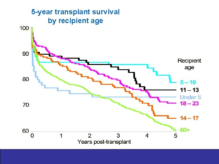 5 -year transplant survival by recipient age 