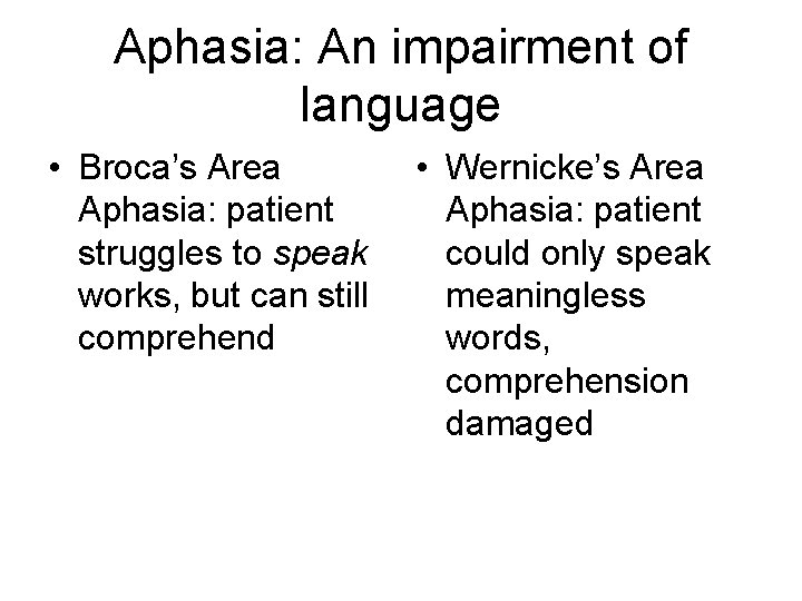 Aphasia: An impairment of language • Broca’s Area Aphasia: patient struggles to speak works,