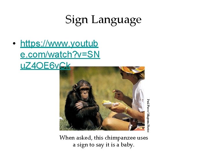 Sign Language • https: //www. youtub e. com/watch? v=SN u. Z 4 OE 6