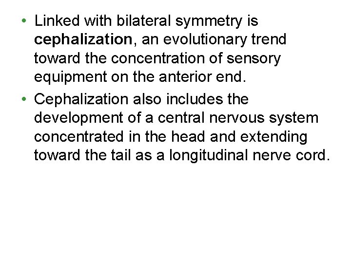  • Linked with bilateral symmetry is cephalization, an evolutionary trend toward the concentration