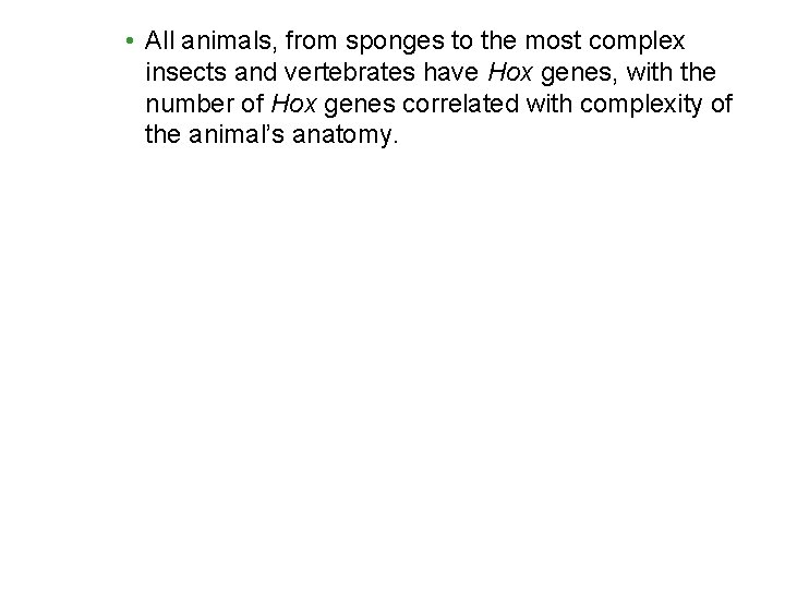  • All animals, from sponges to the most complex insects and vertebrates have