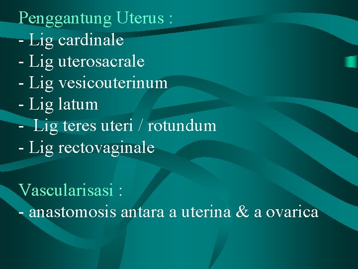 Penggantung Uterus : - Lig cardinale - Lig uterosacrale - Lig vesicouterinum - Lig