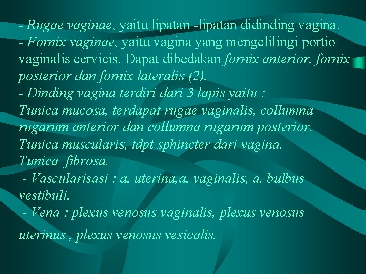 - Rugae vaginae, yaitu lipatan -lipatan didinding vagina. - Fornix vaginae, yaitu vagina yang