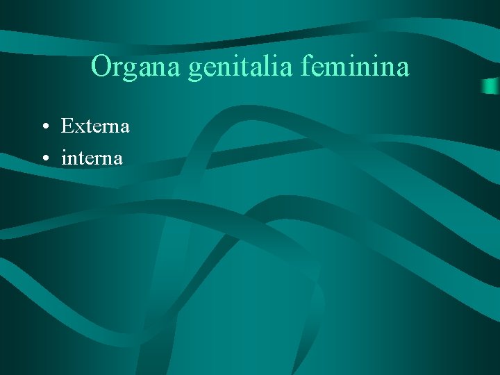 Organa genitalia feminina • Externa • interna 