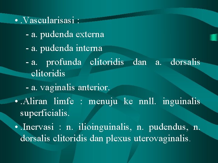  • . Vascularisasi : - a. pudenda externa - a. pudenda interna -