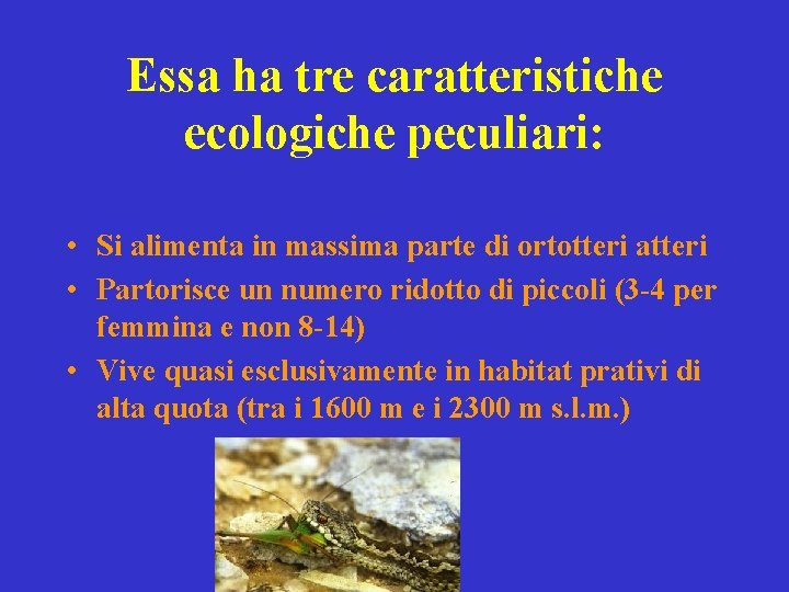 Essa ha tre caratteristiche ecologiche peculiari: • Si alimenta in massima parte di ortotteri