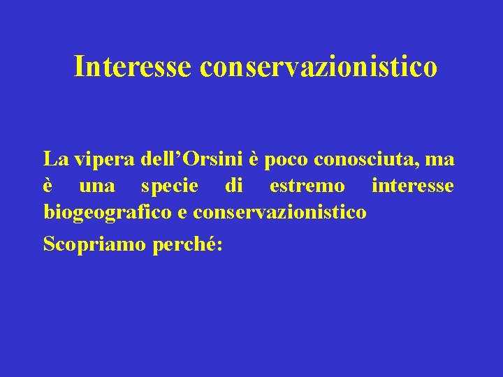 Interesse conservazionistico La vipera dell’Orsini è poco conosciuta, ma è una specie di estremo